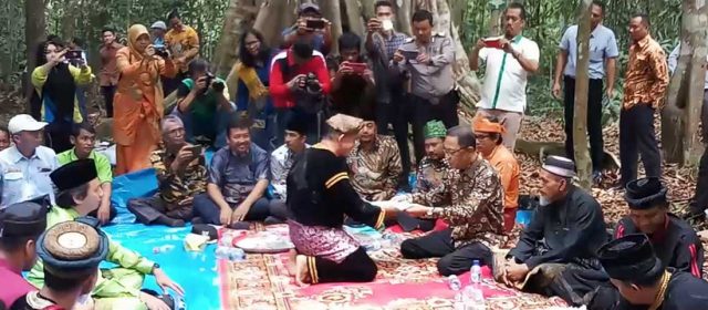 Inisatif Pertama Hutan Adat di Riau