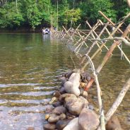 Pengelolaan Hutan Adat oleh Masyarakat Hukum Adat Kenegerian Batu Songgan