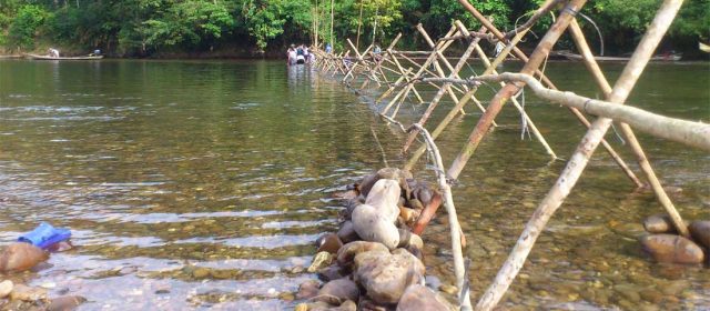 Pengelolaan Hutan Adat oleh Masyarakat Hukum Adat Kenegerian Batu Songgan