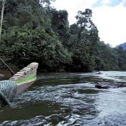 Pompang Pighau dan ukiran Eksotis di Haluan Perahu