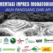 Laporan Satu Tahun Implementasi Inpres Moratorium Sawit : Jauh Panggang dari Api
