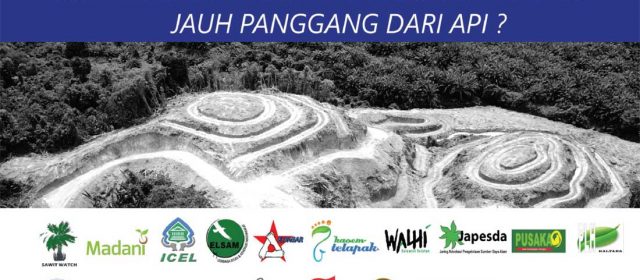 Laporan Satu Tahun Implementasi Inpres Moratorium Sawit : Jauh Panggang dari Api