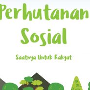 Lima Skema Perhutanan Sosial