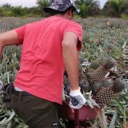Masihkah Nelayan Sebagai Pilihan di Kampung Sungai Rawa?