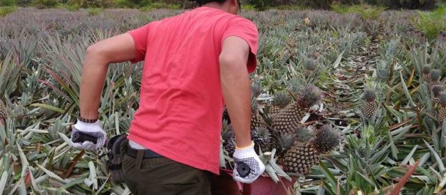 Masihkah Nelayan Sebagai Pilihan di Kampung Sungai Rawa?