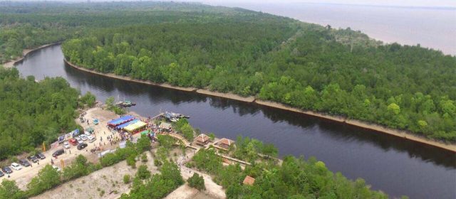 Abrasi dan Kerusakan Mangrove Ancam Kampung Sungai Rawa