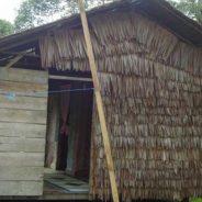 Perubahan Peran Batin di Suku Akit