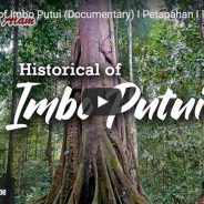 Sekelumit Sejarah Hutan Adat Imbo Putui