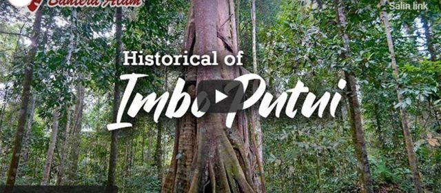 Sekelumit Sejarah Hutan Adat Imbo Putui