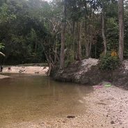Menggali Potensi Adat Hutan Imbo Putui dengan Ragam Pesona
