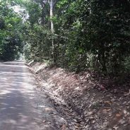 Keberadaan 2 Perusahaan Sawit Ternama Mengancam Ekosistem Sungai dan Hutan Adat Pertama di Riau