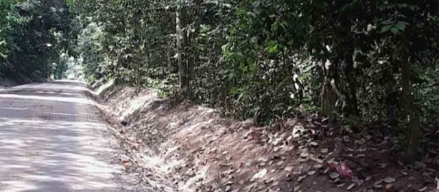 Keberadaan 2 Perusahaan Sawit Ternama Mengancam Ekosistem Sungai dan Hutan Adat Pertama di Riau