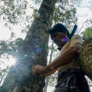 5 Hambatan Pengakuan Hutan Adat