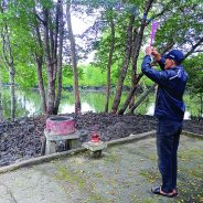 Menaruh Hajat di Ulu Kedi