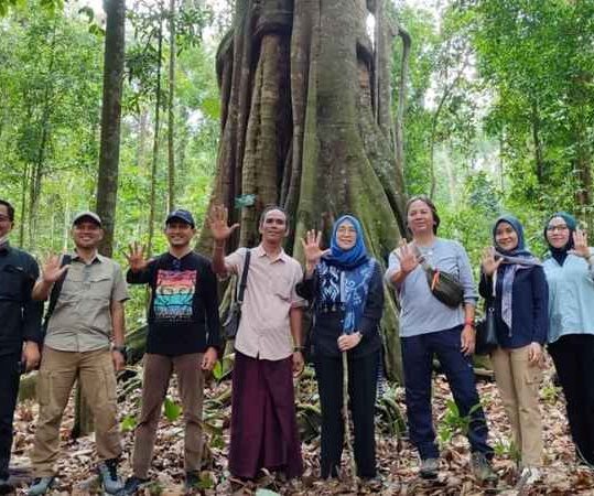 Dirjen Perhutanan Sosial Apresiasi Kelestarian Hutan Adat Imbo Putui di Kampar