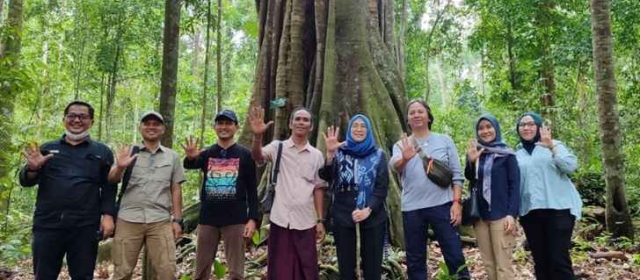 Dirjen Perhutanan Sosial Apresiasi Kelestarian Hutan Adat Imbo Putui di Kampar