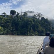 Masyarakat Adat di Riau: Menjaga Hutan, Merawat Sumber Kehidupan, dan Menyerap Karbon