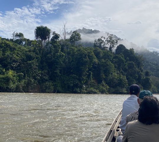 Masyarakat Adat di Riau: Menjaga Hutan, Merawat Sumber Kehidupan, dan Menyerap Karbon