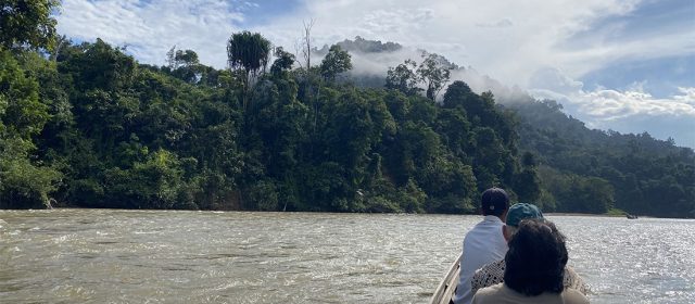 Masyarakat Adat di Riau: Menjaga Hutan, Merawat Sumber Kehidupan, dan Menyerap Karbon