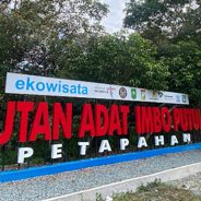 Imbo Putui: Harmoni Adat, Kelestarian Hutan, dan Kemandirian Ekonomi