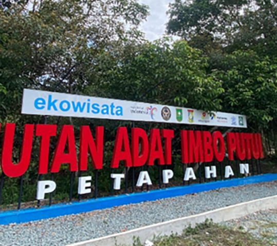 Imbo Putui: Harmoni Adat, Kelestarian Hutan, dan Kemandirian Ekonomi