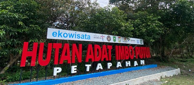 Imbo Putui: Harmoni Adat, Kelestarian Hutan, dan Kemandirian Ekonomi